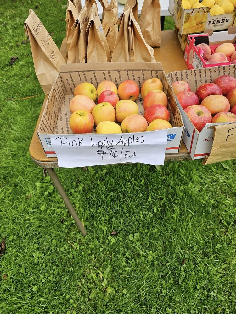 THE EVERYTHING FARM & EATERY Updated September 2024 92 Photos 93