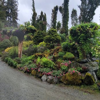 Glacier Gardens Rainforest Adventure - Botanical Gardens Near Me - Juneau, Alaska