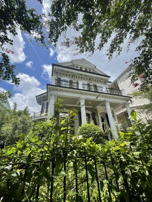 New Orleans Top Tours by null