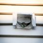 Photo of Quick Wildlife Control