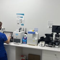 Trout Lake Animal Hospital - Full In- House laboratory