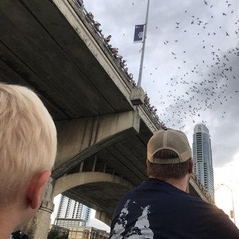 Lone Star Riverboat - Bats emerging from the bridge for the nightly hunt - Boat Charters Near Me - Austin, Texas