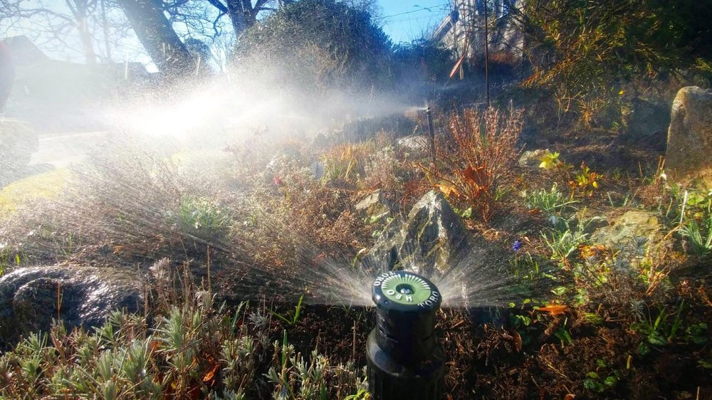 BED WETTER’S IRRIGATION Updated October 2024 Victoria, British