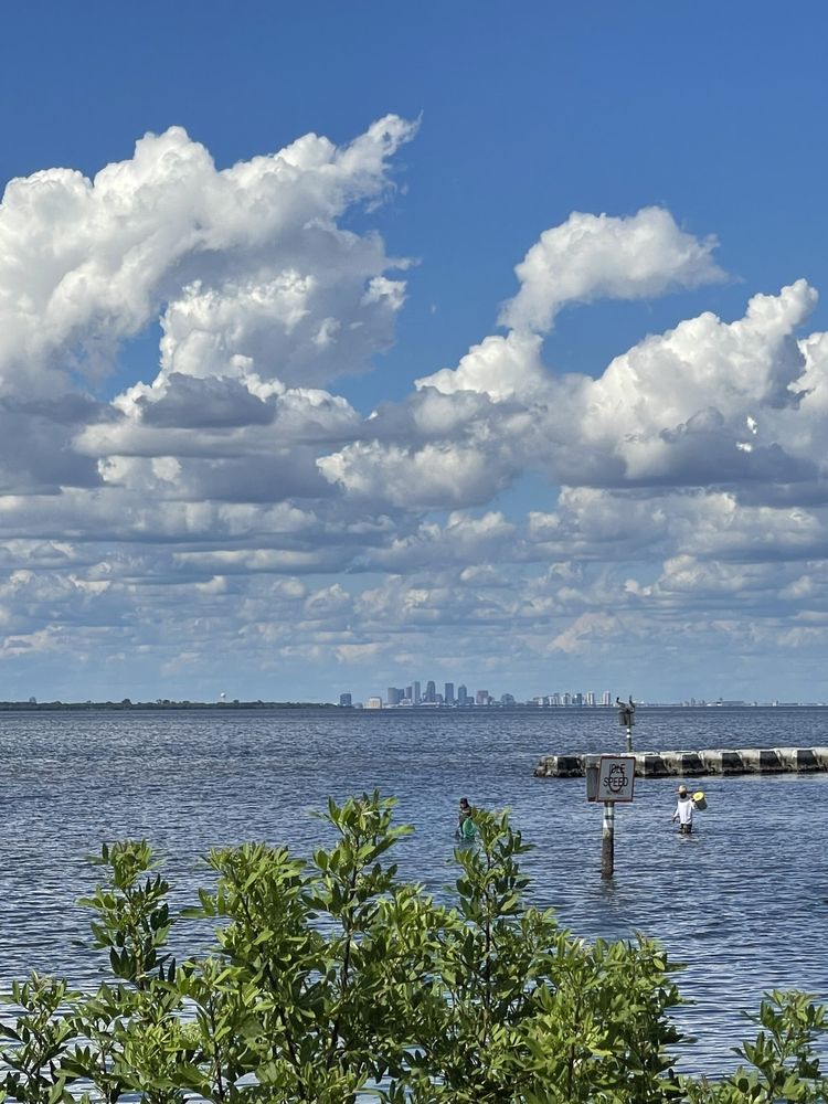 EG Simmons Park Image