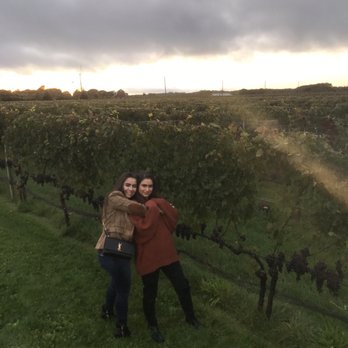 Macari Vineyards - that view ! - Wineries Near Me - Mattituck, New York Macari Vineyards - that view ! - Wineries Near Me - Mattituck, New York