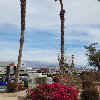Costco - Wholesale Stores Near Me - Palm Desert, California