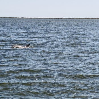 Captain Johnny's Dolphin Tours - Boat Tours Near Me - Manteo, North Carolina Captain Johnny's Dolphin Tours - Boat Tours Near Me - Manteo, North Carolina
