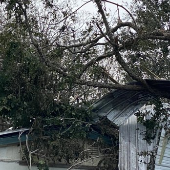 All The Right Ways Tree Service - Tree Services Near Me - Mobile, Alabama
