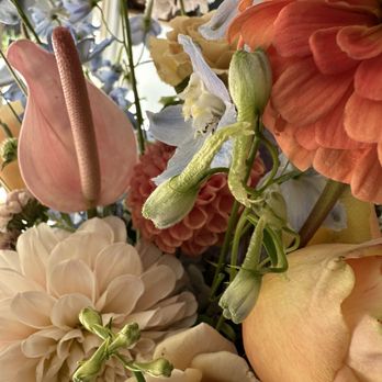 Garden Girl Flowers - Florists Near Me - Eugene, Oregon Garden Girl Flowers - Florists Near Me - Eugene, Oregon