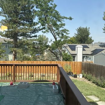 Willco Tree - Tree cut off trimmed - Tree Services Near Me - Northglenn, Colorado