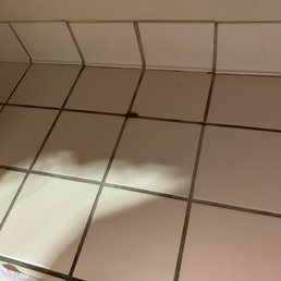 Dead roach Dead roach