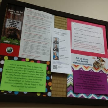 Hillside Veterinary Clinic - Info - Veterinarians Near Me - Dallas, Texas Hillside Veterinary Clinic - Info - Veterinarians Near Me - Dallas, Texas