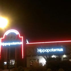 Hippopotamus