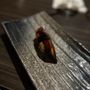 Photo of Soma Sushi
