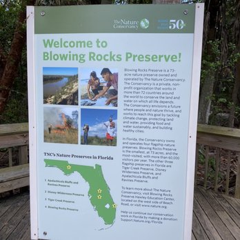 Blowing Rocks Preserve - Beaches Near Me - Hobe Sound, Florida