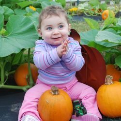 Country Critters Farm - Pumpkin patch