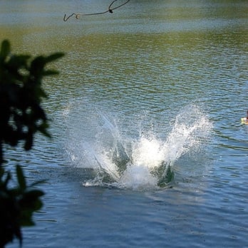 Bass Lake - Lakes Near Me - Bolinas, California Bass Lake - Lakes Near Me - Bolinas, California