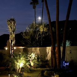 La Hacienda Nursery & Landscape - Back terrace