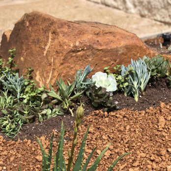 Landscaping Ninjas - Succulent landscape design - Landscaping Near Me - College Station, Texas Landscaping Ninjas - Succulent landscape design - Landscaping Near Me - College Station, Texas