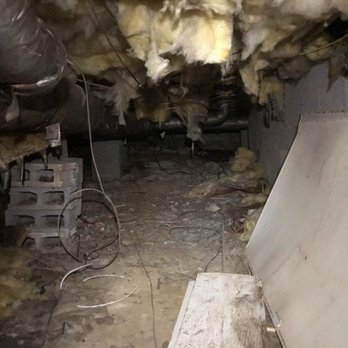 EcoCrawls - This is a crawlspace they tackled for me. - General Contractors Near Me - Chapel Hill, North Carolina