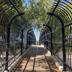 Bridge Crossing