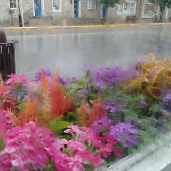 May Café - Cafes Near Me - Milford, Ohio May Café - Cafes Near Me - Milford, Ohio