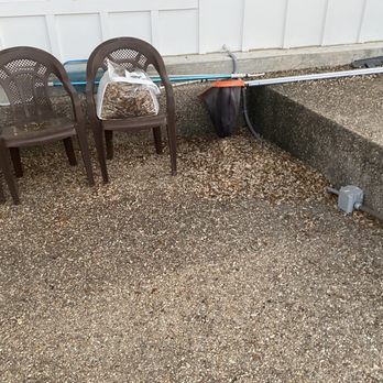 512 Landscaping - More leaf build up that was supposed to be taken care of... - Tree Services Near Me - Austin, Texas 512 Landscaping - More leaf build up that was supposed to be taken care of... - Tree Services Near Me - Austin, Texas