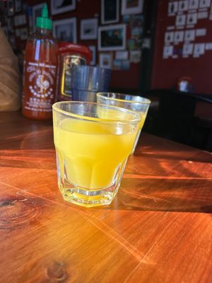 The Sycamore by null