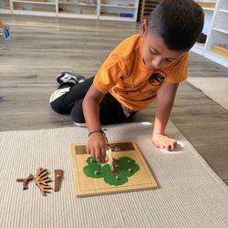 Magnolia Progressive Montessori