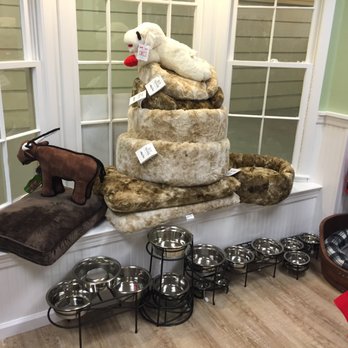 Well Bred - Some of our specialty items - high quality raised feeders, super comfortable beds, and Lamb Chop! - Pet Stores Near Me - Chatham, New Jersey Well Bred - Some of our specialty items - high quality raised feeders, super comfortable beds, and Lamb Chop! - Pet Stores Near Me - Chatham, New Jersey