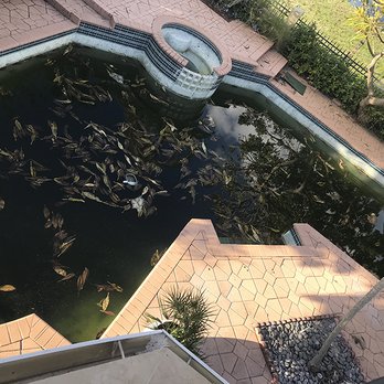 Johnson Pool Plastering llc - before - Pool Cleaners Near Me - Fort Lauderdale, Florida Johnson Pool Plastering llc - before - Pool Cleaners Near Me - Fort Lauderdale, Florida