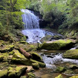 Charlie Falls - Chinquapin - Charlie Falls