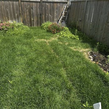Funk's Lawn Care Service - The yellow lines in the sod are where the sod has failed to take and died due to lack of leveling - Snow Removal Near Me - Fargo, North Dakota
