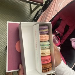 6 flavors: chocolate, strawberry, vanilla, blueberry...can't remember the other two 6 flavors: chocolate, strawberry, vanilla, blueberry...can't remember the other two