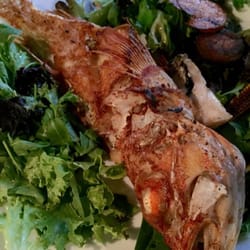 Yachyo Japanese Bistro - Darlinghurst - Grilled ocean perch