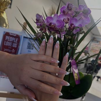 Harmony - Nail Salons Near Me - Pasadena, California Harmony - Nail Salons Near Me - Pasadena, California