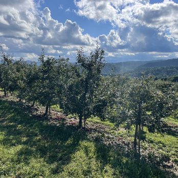 Sky Top Orchard - Orchard - Pick Your Own Farms Near Me - Zirconia, North Carolina Sky Top Orchard - Orchard - Pick Your Own Farms Near Me - Zirconia, North Carolina