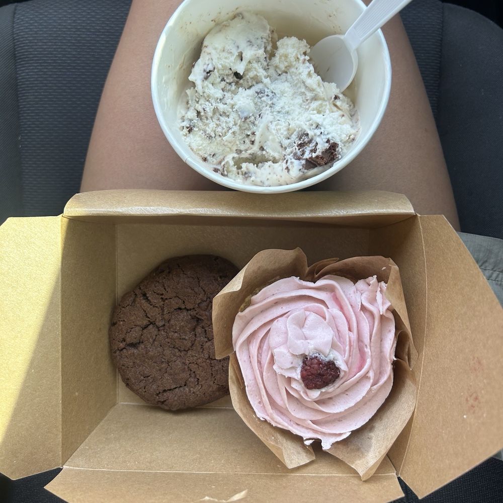 Chocolate Brownie Ice Cream, Double Chocolate Chip Cookie, and a Raspberry Lemon Cupcake.