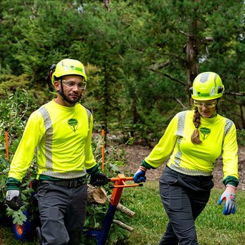 Bartlett Tree Experts - Tree Services Near Me - Carlisle, Pennsylvania Bartlett Tree Experts - Tree Services Near Me - Carlisle, Pennsylvania