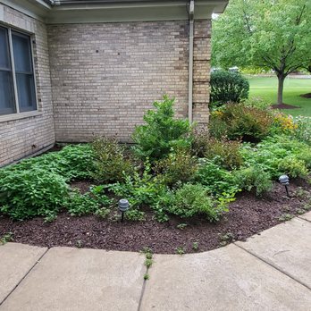 Tomasello's Landscaping - Only middle circle was planted-rest is weeds - Landscaping Near Me - Cary, Illinois Tomasello's Landscaping - Only middle circle was planted-rest is weeds - Landscaping Near Me - Cary, Illinois