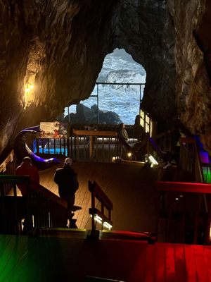 Sea Lion Caves by null