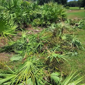 Revivifi - Landscaping Near Me - Jacksonville, Florida Revivifi - Landscaping Near Me - Jacksonville, Florida
