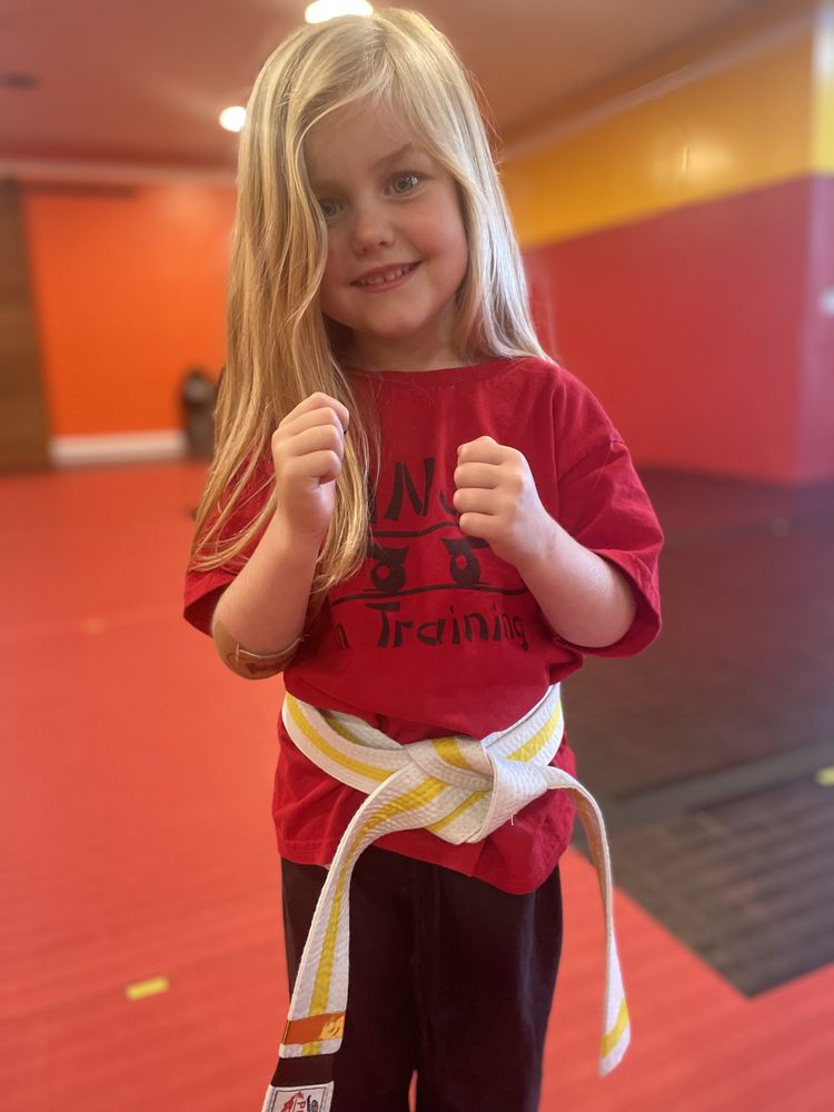 Power of One Karate Logo