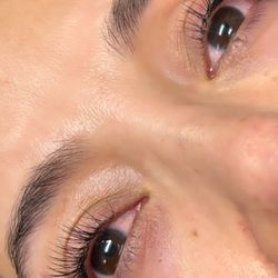 Classic Lashes $115