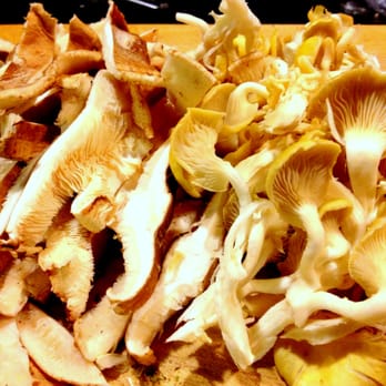 Stony Ridge Farm - Stony Ridge Farm Shiitake and Oyster Mushrooms - Farmers Market Near Me - Harpers Ferry, West Virginia Stony Ridge Farm - Stony Ridge Farm Shiitake and Oyster Mushrooms - Farmers Market Near Me - Harpers Ferry, West Virginia