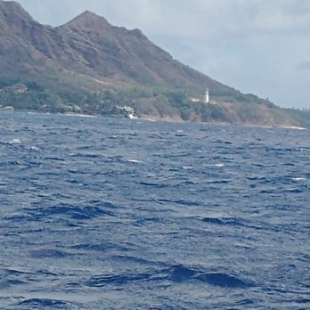 Snorkel Bob's Oahu - Tours Near Me - Honolulu, Hawaii Snorkel Bob's Oahu - Tours Near Me - Honolulu, Hawaii