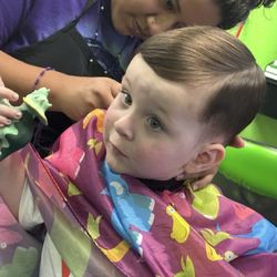 Milo getting his haircut
