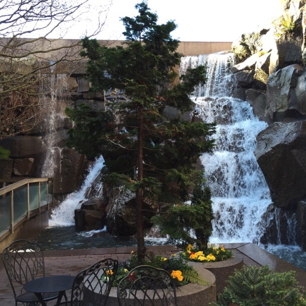 Waterfall Garden - Parks Near Me - Seattle, Washington Waterfall Garden - Parks Near Me - Seattle, Washington