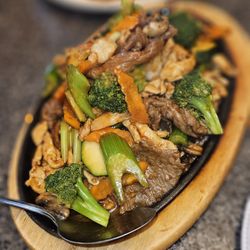 Treasure Dragon Chinese Cuisine - Chiefs special