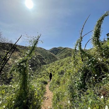 Stebbins Cold Canyon Loop Trail - Hiking Near Me - Winters, California